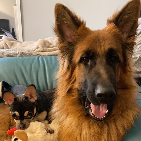 Meet your Posher, Madelyn - Picture 1 of 1